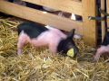 2010 05 24 jeanmarcperfetti.com 078.JPG